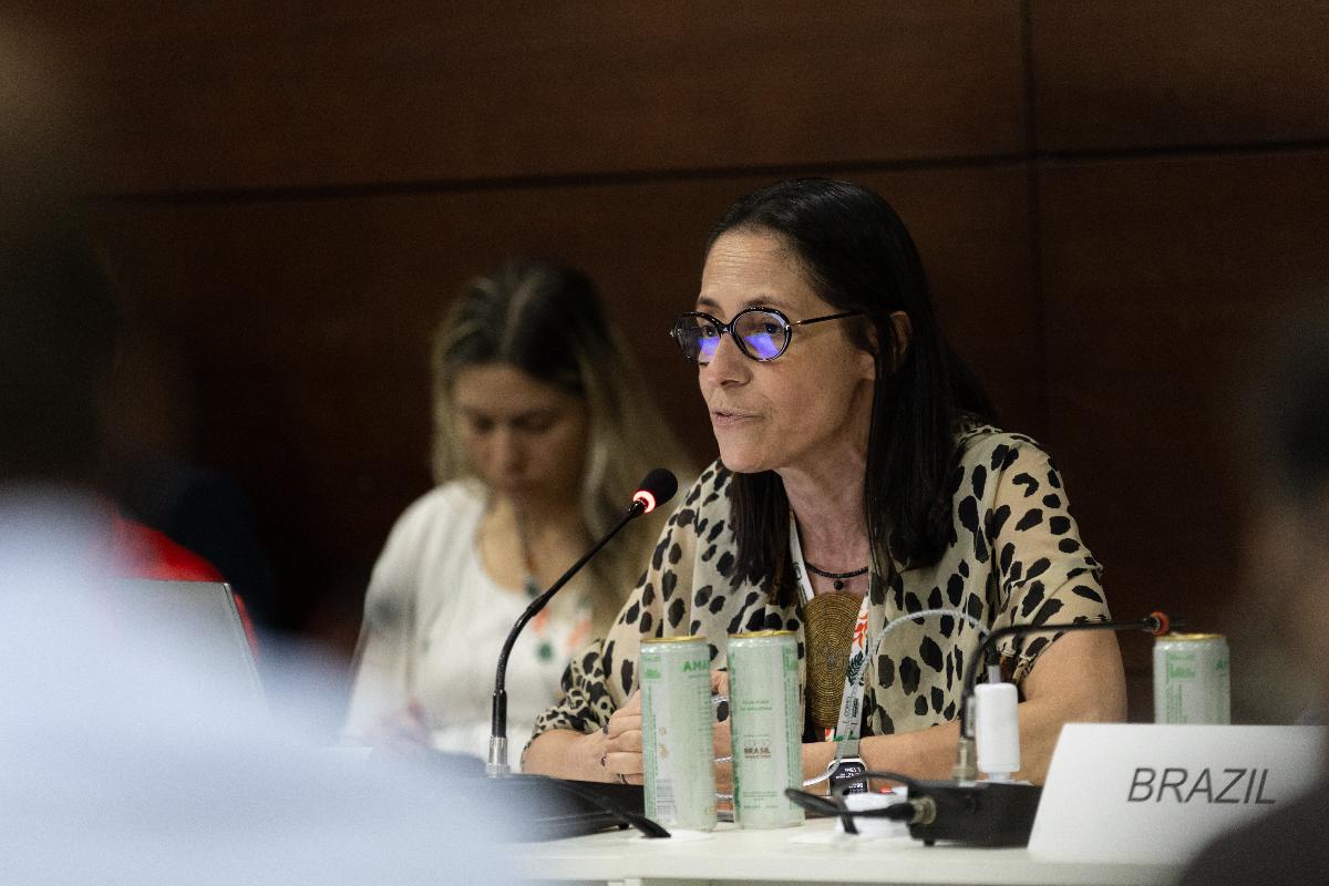 COP30 開幕：全球聚焦「亞馬遜中的氣候治理」