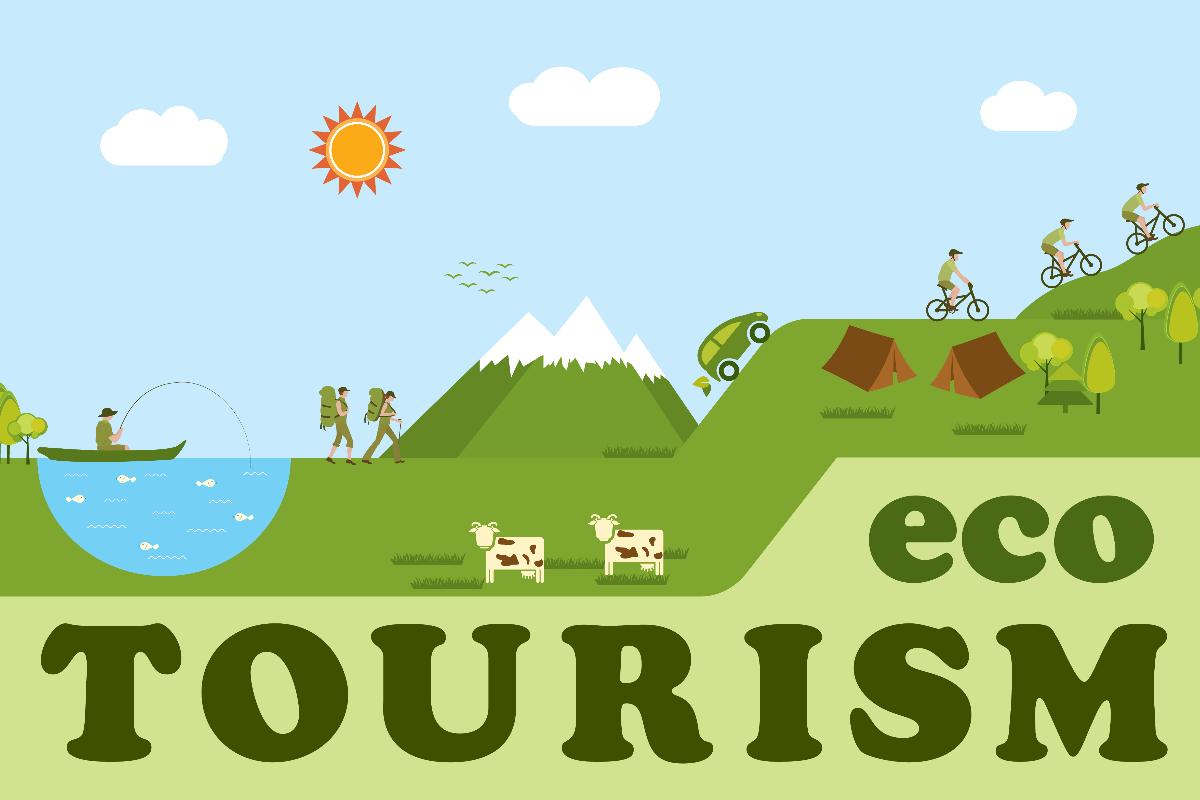 用更環保的方式旅行也能創造碳權