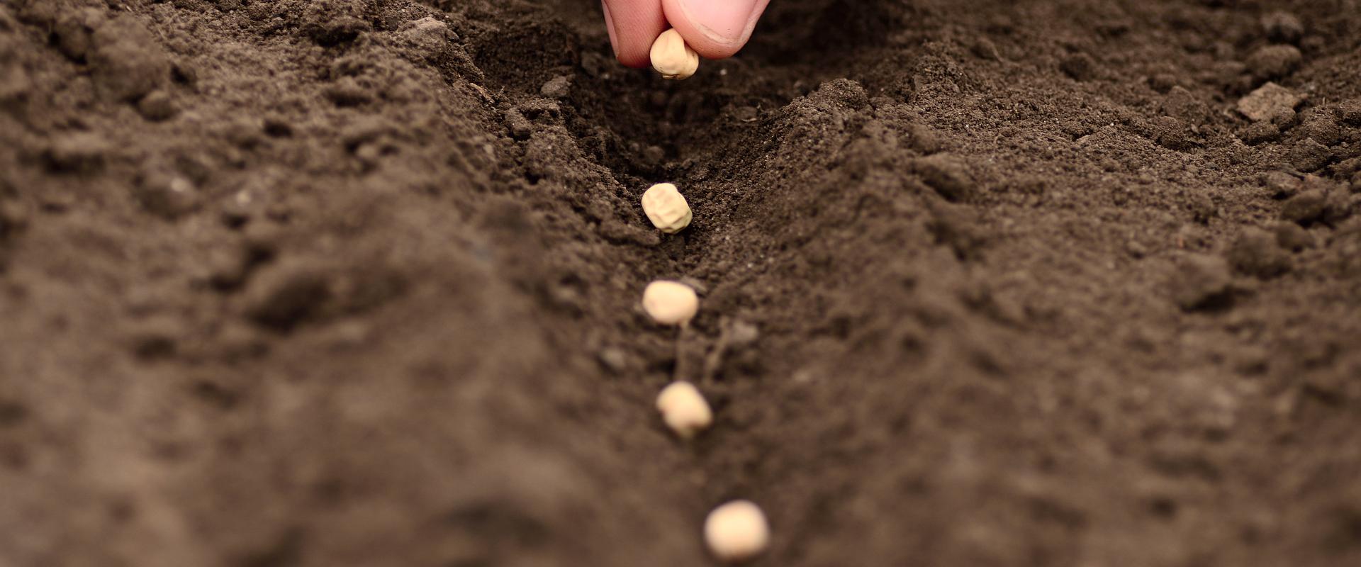 地方
看見永續力量