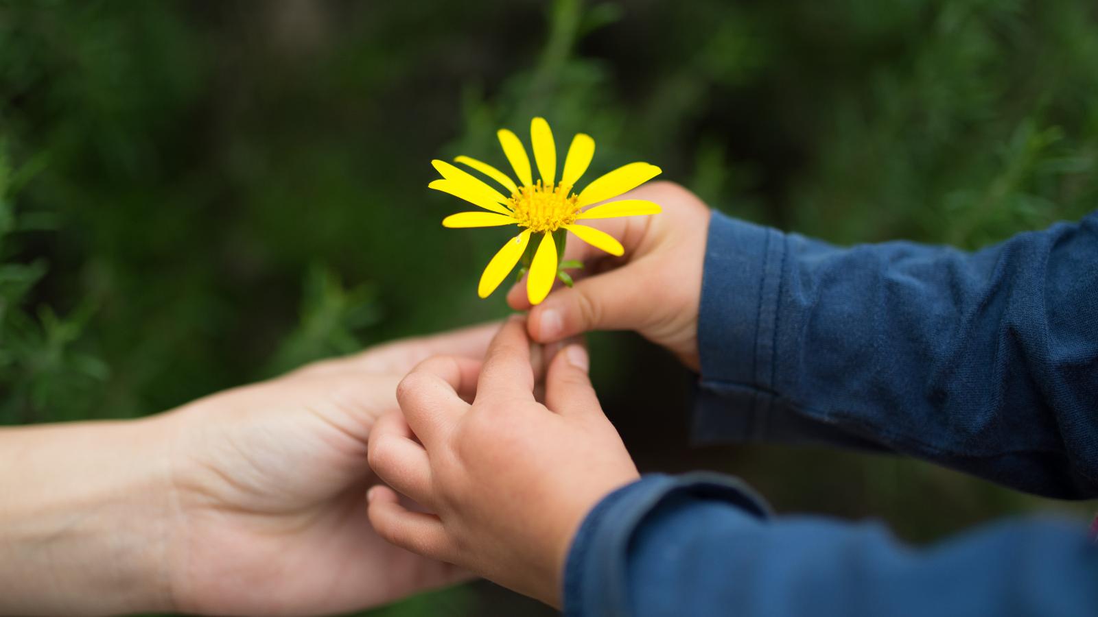 SPACC願景工作會議